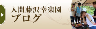入間藤沢後楽園ブログ